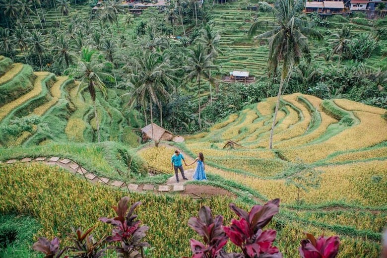 Cảnh Bali mùa khô tháng 7 với bầu trời trong xanh nhìn từ thang ruộng Tegallalang