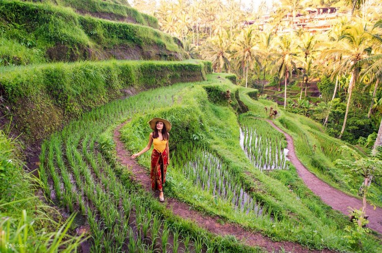 Khách đi bộ trên ruộng bậc thang Tegallalang