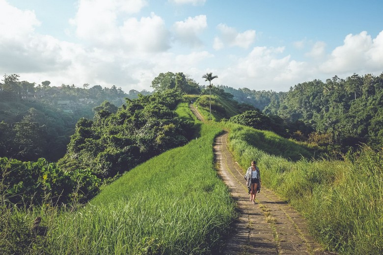 Khung cảnh nhìn từ xe xuống thung lũng Ubud buổi sáng sớm có sương mù
