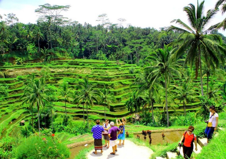 Nhóm khách Việt đang trekking trên lối đi quanh ruộng bậc thang Tegalalang