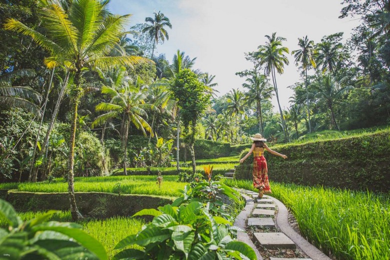 Ruộng bậc thang Tegalalang Ubud buổi sáng sớm — một trong những điểm chụp ảnh đẹp nhất Bali