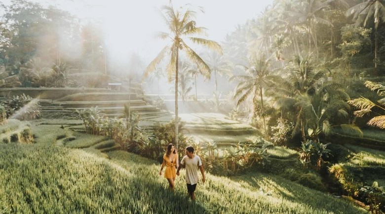 Ruộng bậc thang Tegalalang buổi sáng sớm, sương mờ, ít người