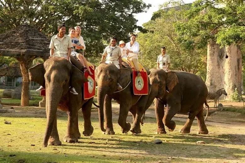 Những gia đình đang ngồi trên lưng voi tại Bali Safari & Marine Park cười vui vẻ