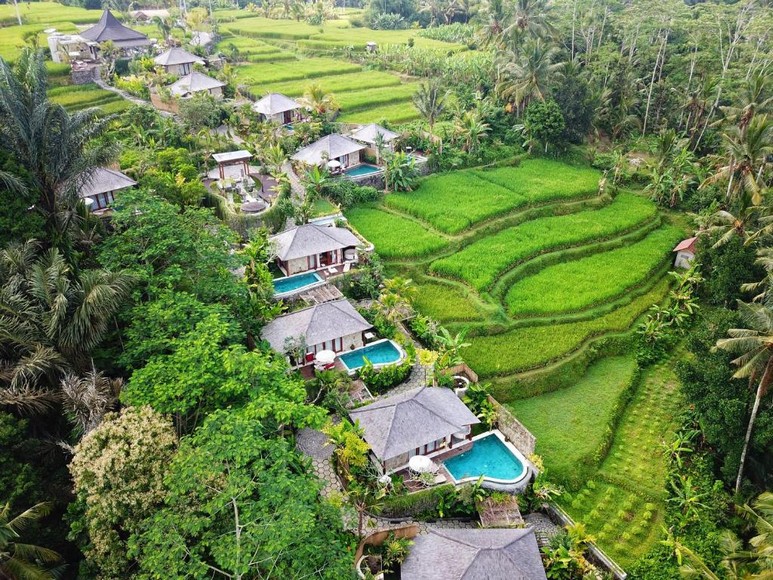 Villa hồ bơi riêng view ruộng bậc thang tại Ubud nhìn ra Tegallalang