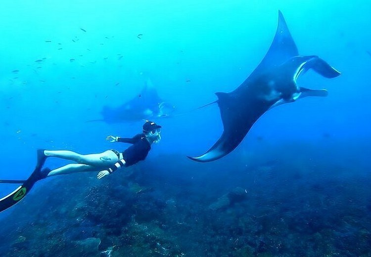 Dưới nước Crystal Bay — san hô đầy màu sắc, cá nhiệt đới bơi lội, tầm nhìn trong vắt