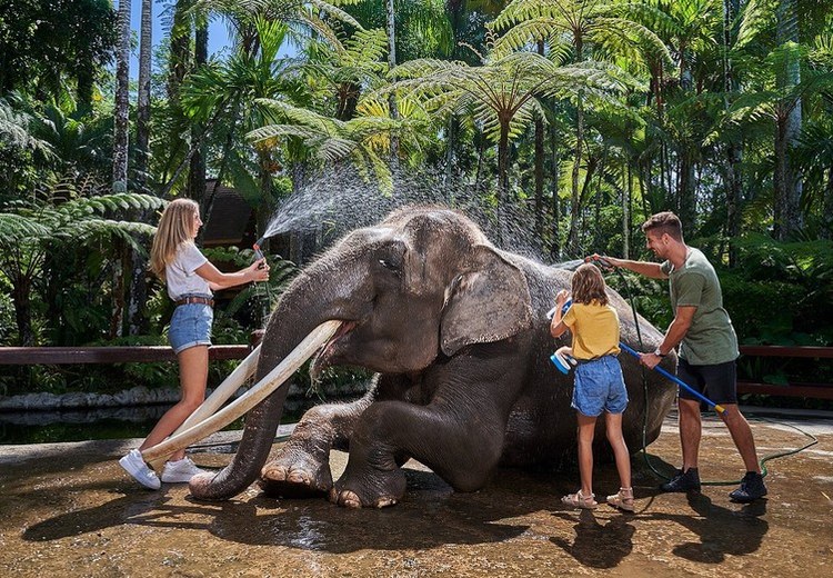 Gia đình tắm rửa vui chơi với voi tại Elephant Safari Park, Ubud