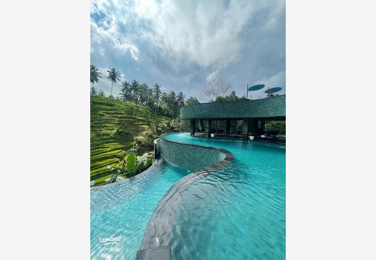 Hồ bơi tràn view ruộng bậc thang tại resort ở Ubud, Bali