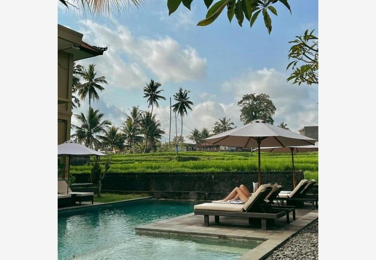 Hồ bơi villa nhìn ra cánh đồng Ubud vào buổi sáng mùa khô Bali