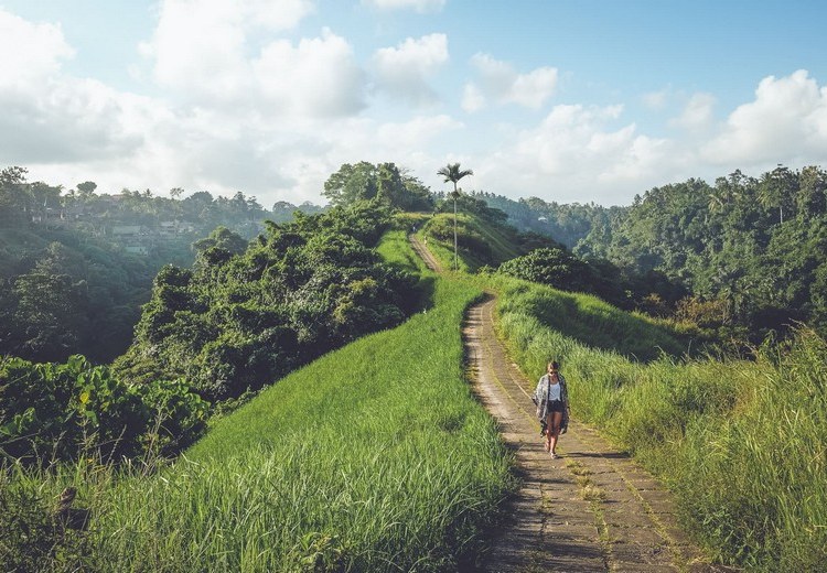 Khung cảnh nhìn từ xe xuống thung lũng Ubud buổi sáng sớm có sương mù