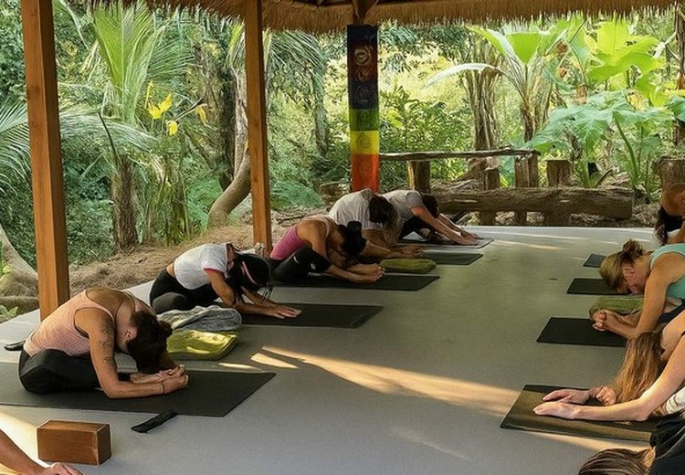 Lớp yoga buổi sáng giữa vườn rừng nhiệt đới tại Ubud, ánh sáng vàng lọc qua tán cây