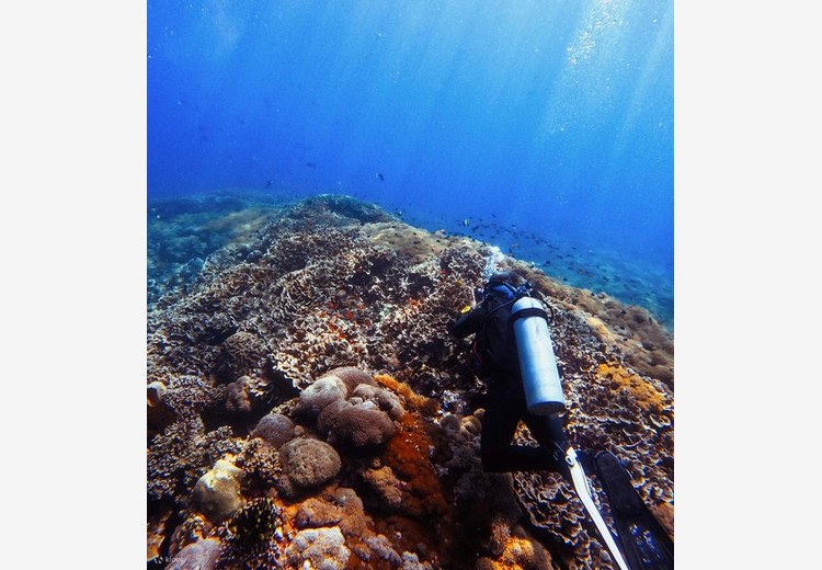 Người lặn snorkeling tại vùng biển trong xanh Nusa Penida, san hô đầy màu sắc hiện ra phía dưới