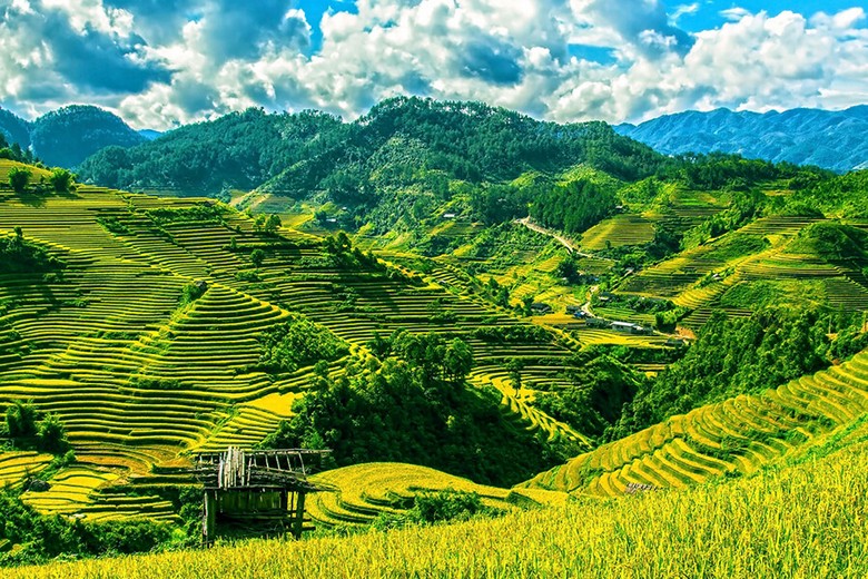 Ruộng bậc thang Tegalalang ở Bali