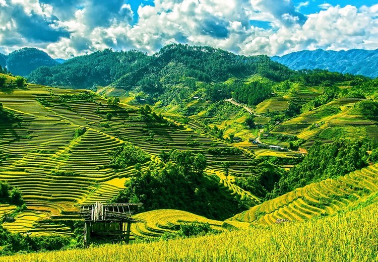 Ruộng bậc thang Tegalalang ở Bali