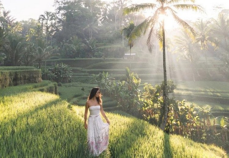 Ruộng bậc thang Tegallalang Ubud xanh mướt lúc bình minh
