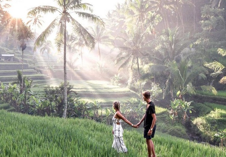 Toàn cảnh ruộng bậc thang Tegallalang buổi sáng sớm còn mờ sương