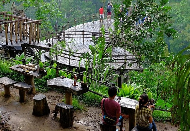 Toàn cảnh ruộng bậc thang Tegallalang nhìn từ đồn điền cà phê Bali Pulina, Ubud
