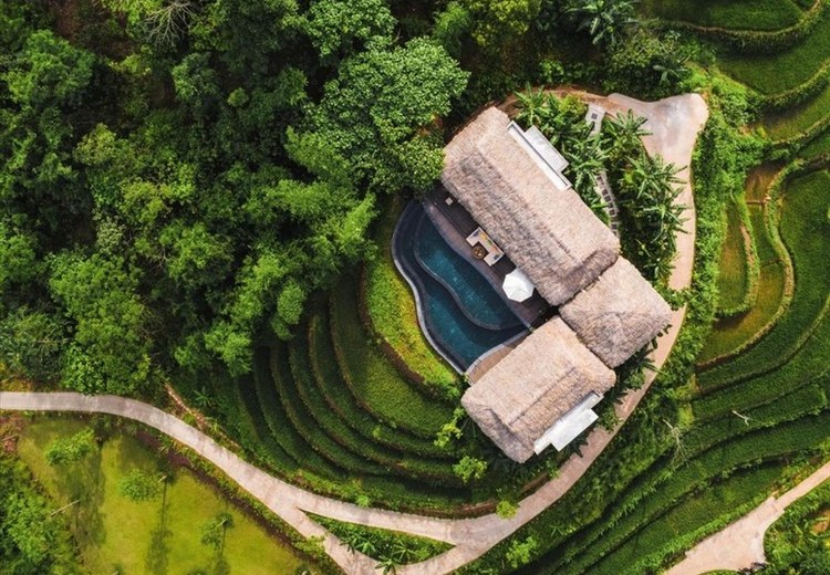 Villa có hồ bơi riêng nhìn ra ruộng bậc thang tại Ubud lúc bình minh