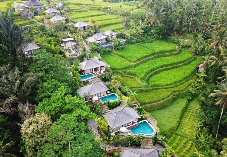 Villa hồ bơi riêng nhìn ra ruộng bậc thang xanh tại Ubud, Bali